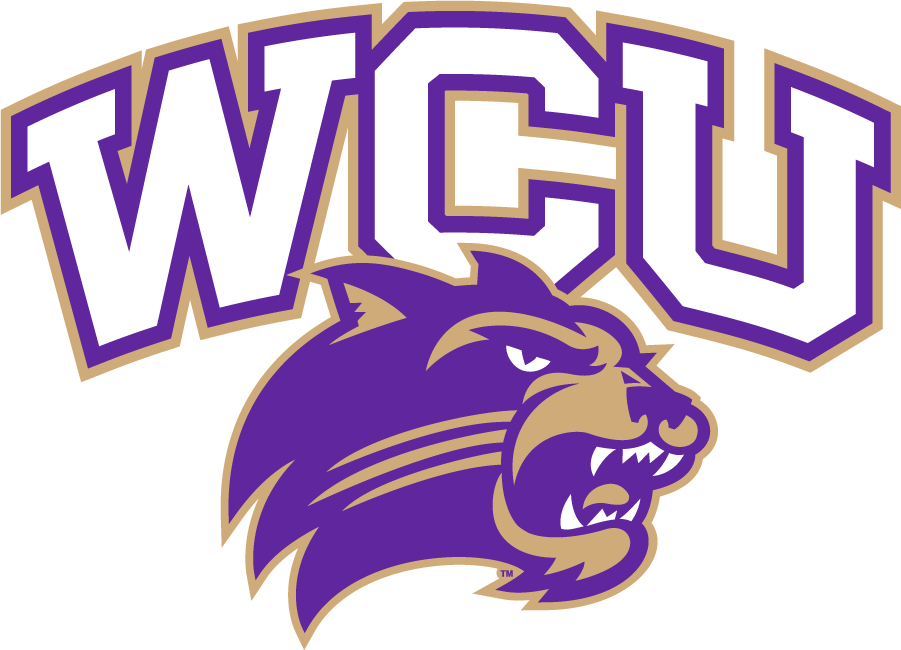 Western Carolina Catamounts 2015 Secondary Logo DIY iron on transfer (heat transfer)